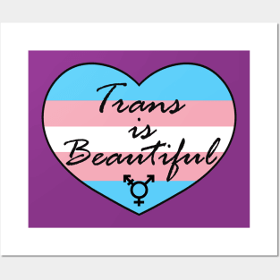 Trans is Beautiful Posters and Art